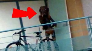 Очень жуткие видео, которые вы не сможете досмотреть до конца