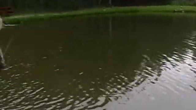 Timofey+Polina Рыбалка2 смотреть онлайн