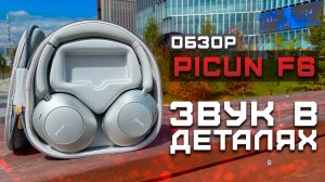 Обзор Picun F6 | Наушники премиум качества!