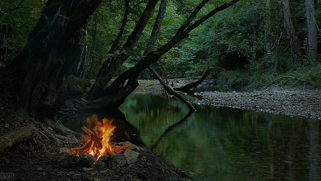 Лес,гроза,костер-природа.mp4