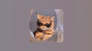 Don Omar - Danza Kuduro ft. Lucenzo | Speed up |