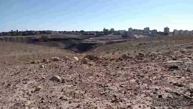 Зима в Израиле.Овцы в пустыне.Что лучше? Ходьба или бег смотреть онлайн