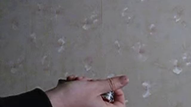 Canon IXUS 220 HS - скоростная видеосъемка (10х) смотреть онлайн