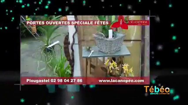 La Canopée sur Tébéo смотреть онлайн