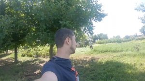 Как косить люцерну бензокосой на сено  Как делать мотокосой валок при покосе травы.