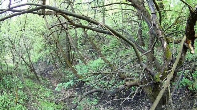 Поиск металлолома и интересных находок в лесу