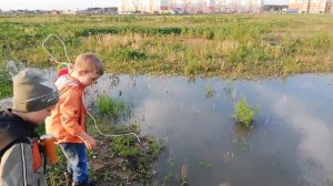Ловля лягушек.