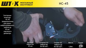 НС-45 Ножницы секторные