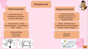 Свойства живых организмов