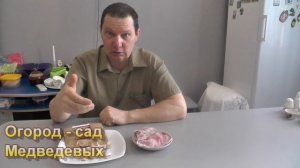 Как сохранить и подготовить яровой чеснок к посадке