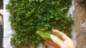 Как поведет себя щавель после недели жизни в холодильнике  beko c технологией EverFresh+