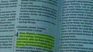 Синайский поход