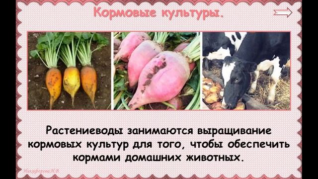 Урок по окружающему миру  "Растениеводство"