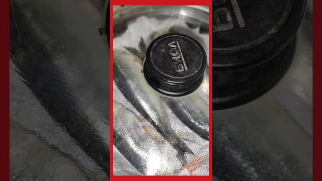 Без Муки Масла и Соли ЖАРЮ РЫБУ НА СКОВОРОДЕ салака,селёдка,скумбрия...