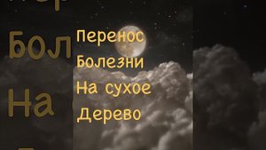# перенос болезни на дерево #