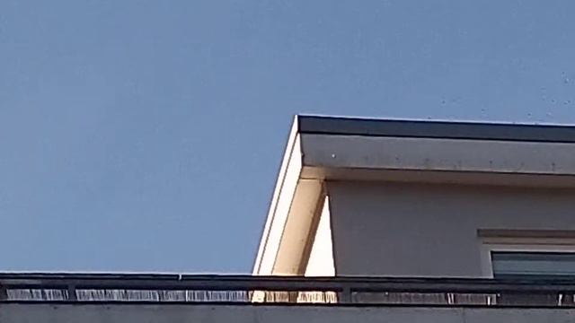 Wenn man von Internet gesteuert wird! Журавли  потеряли Ореантир. много Интернета в  небе. смотреть онлайн