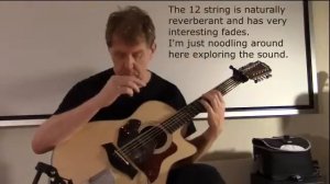 Taylor 356CE 12 string Test
