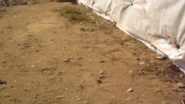 Dima Nikiforov| Турунтаево-Кома. смотреть онлайн