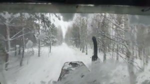 На МТЗ-80 в лес, снегопад! On the MTZ-80 tractor into the forest in a snowfall