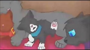 Бич | Клип | Не бойся смотреть смерти в глаза | Коты - Воители