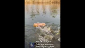 Рыбалка. Активатор клева