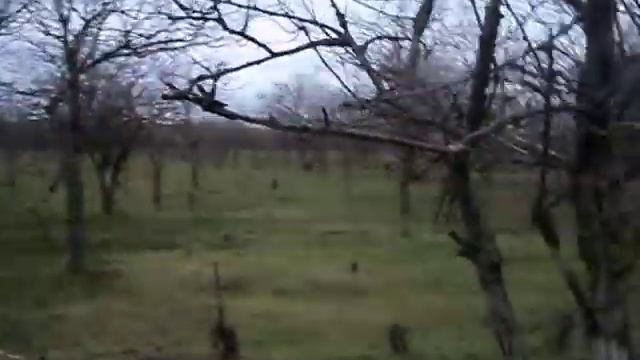 Природа смотреть онлайн