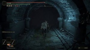 ELDEN RING Блуждающая ЛОЖНАЯ СЛЕЗА! NG+