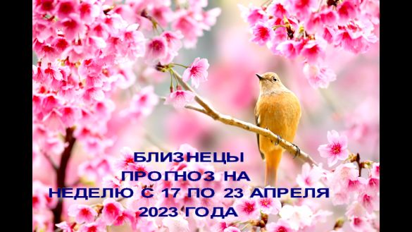 БЛИЗНЕЦЫ ГОРОСКОП НА НЕДЕЛЮ С 17 ПО 23 АПРЕЛЯ 2023 ГОДА