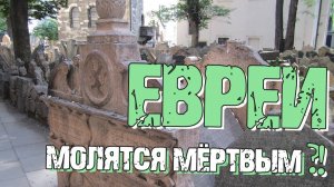 Евреи молятся мёртвым?! | Раввин Михаил Финкель