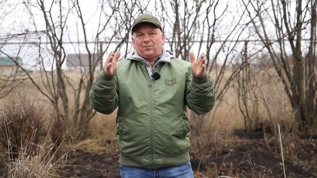 Простой способ ОМОЛАЖИВАНИЯ ЛЕЩИНЫ. Пошаговый разбор