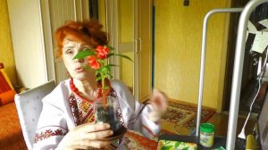 Садовое чудо-бальзамин! Посадка, выращивание и уход.