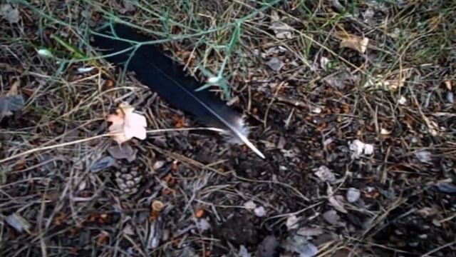 САМВЕЛ АДАМЯН НАДЯ ПРОГОВОРИЛАСЬ ШОВ ДЕЛАЛ АСПИРАНТ смотреть онлайн