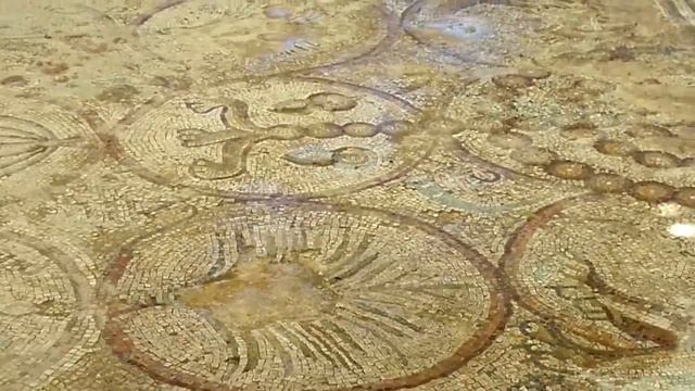 ЦВЕТУЩИЙ НЕГЕВ 28 МАРТА 2016 С РИНОЙ ЗЛАТКОВСКОЙ смотреть онлайн