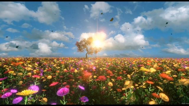 ALİ İMRAN SURESİ MEALİ DİNLE (KUR ANİ KERİM MEALİ FULL) смотреть онлайн