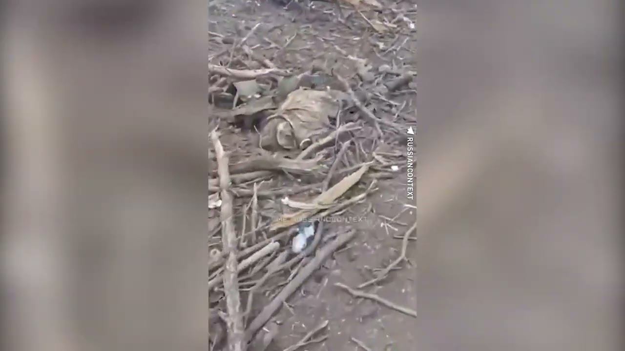 Полсотни тел бывших ВСУшников разбросаны по укрепу под Авдеевкой смотреть онлайн