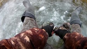 в поисках рыбы