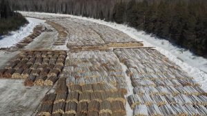 Работа водителей АО «Соликамскбумпром», занятых на перевозке древесины