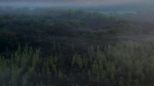 ABDULLOH DOMLA HIJOMA FOYDASI VA ZARARI HAQIDA