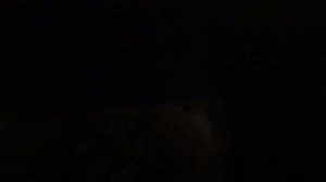 Электрический лифт V=0,71 м-с, грузоподъемность 320 кг (1274)