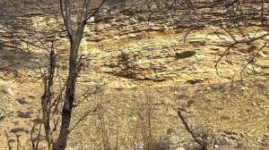 Сельские будни