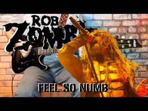 Rob Zombie - Feel so numb. (GUITAR SH!T COVER)