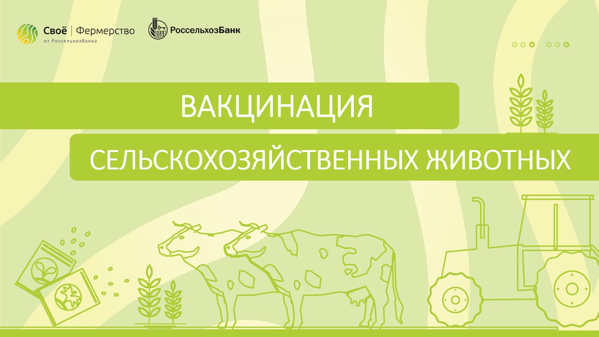 Вакцинация сельскохозяйственных животных