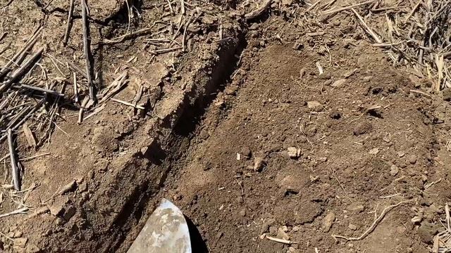 Продолжаем сеять рапс по технологии no-till смотреть онлайн