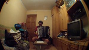 в мире животных