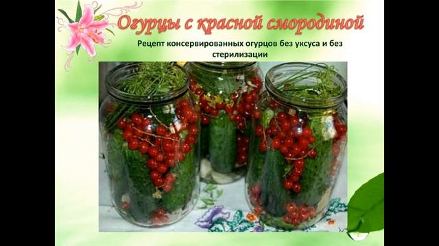 Оксана Мицкевич Здравушкины рецепты