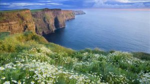 Ирландская народная музыка