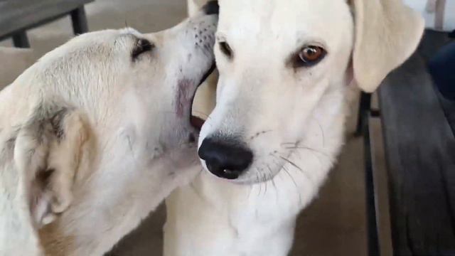 Долина Лефкадия 😍🍷 смотреть онлайн