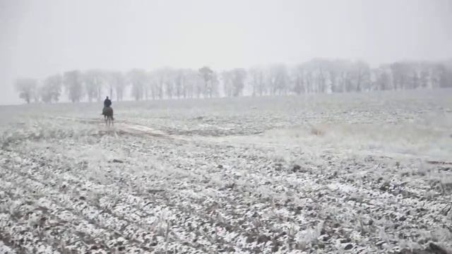 Галоп Жени на Хадбане смотреть онлайн