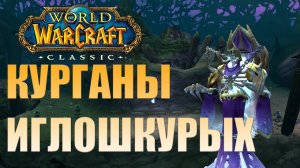 Гайд по подземелью  World of Warcraft Classic Курганы Иглошкурых