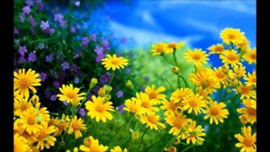 Рано я ищу Иисуса